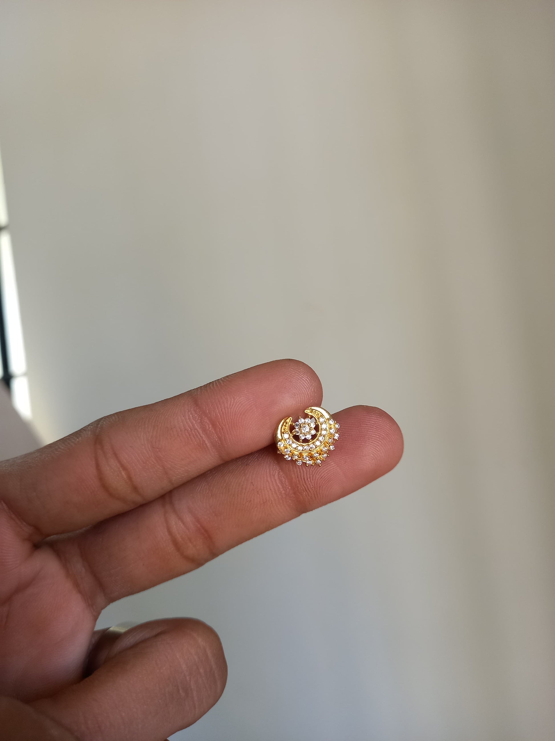 Ayush Silver Nosepins