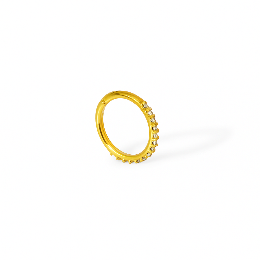 Silver Nosepins NoseRing