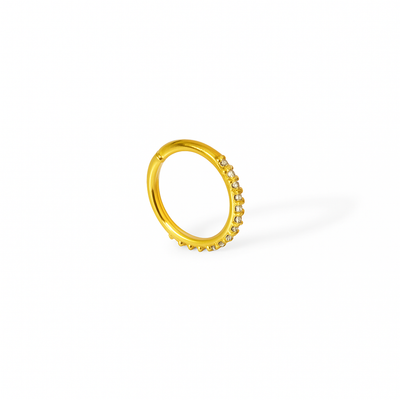 Silver Nosepins NoseRing