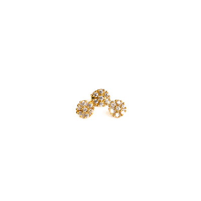 Vani Silver Earrings