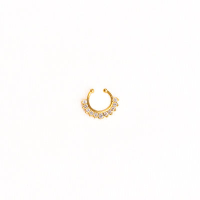 Septum Silver Nosepins 01