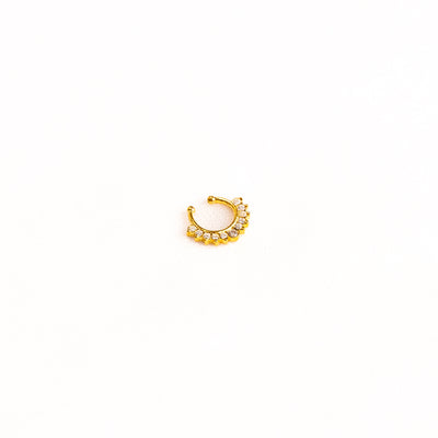 Septum Silver Nosepins 01