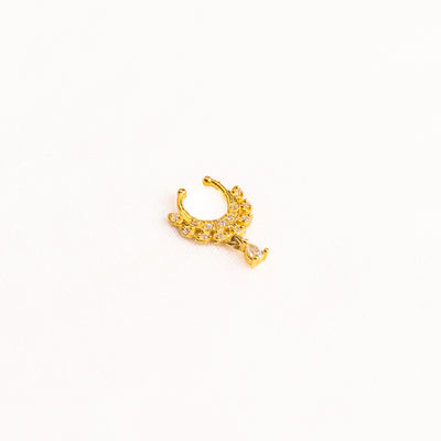 Septum Silver Nosepins 11