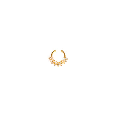 Septum Silver Nosepins 09