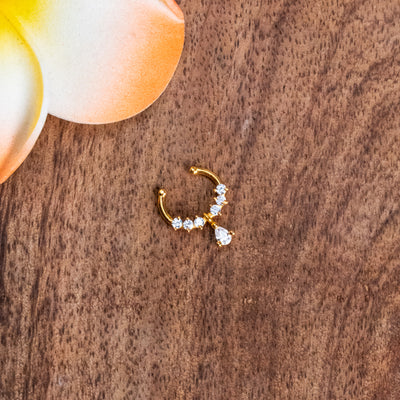 Septum Silver Nosepins 13