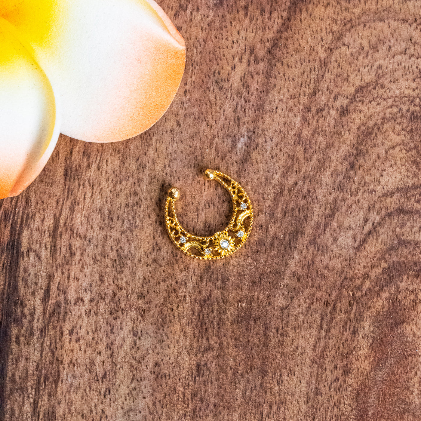 Septum Silver Nosepins 04