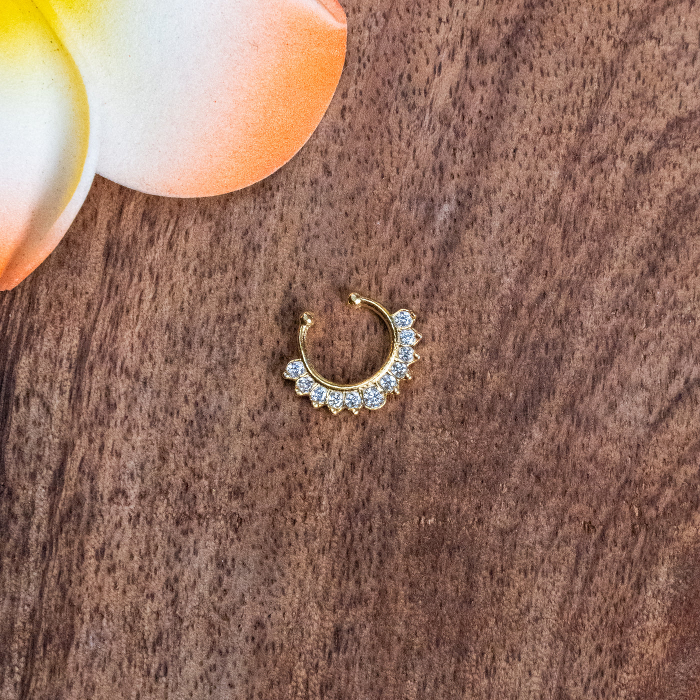 Septum Silver Nosepins 01