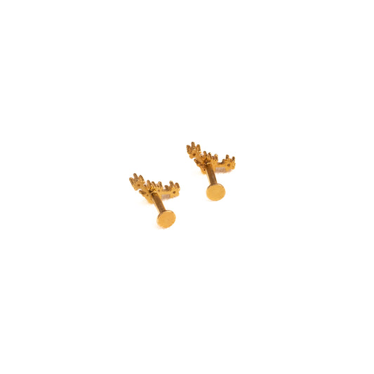 Reya Silver Earrings