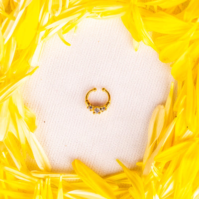 Septum Silver Nosepins 02