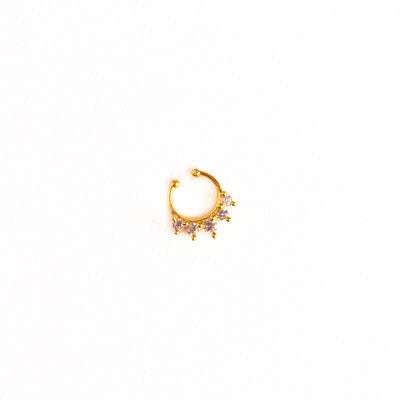 Septum Silver Nosepins 03