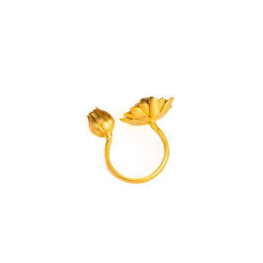 Vian Ring