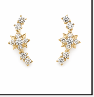 Elara 925 Silver Studs