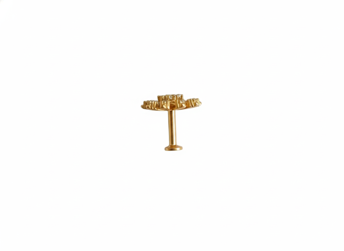 Two in One 925 Silver Nose Pin for Women