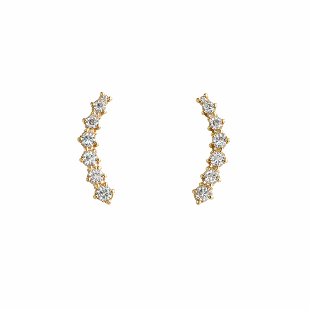 Indrani Silver Earrings