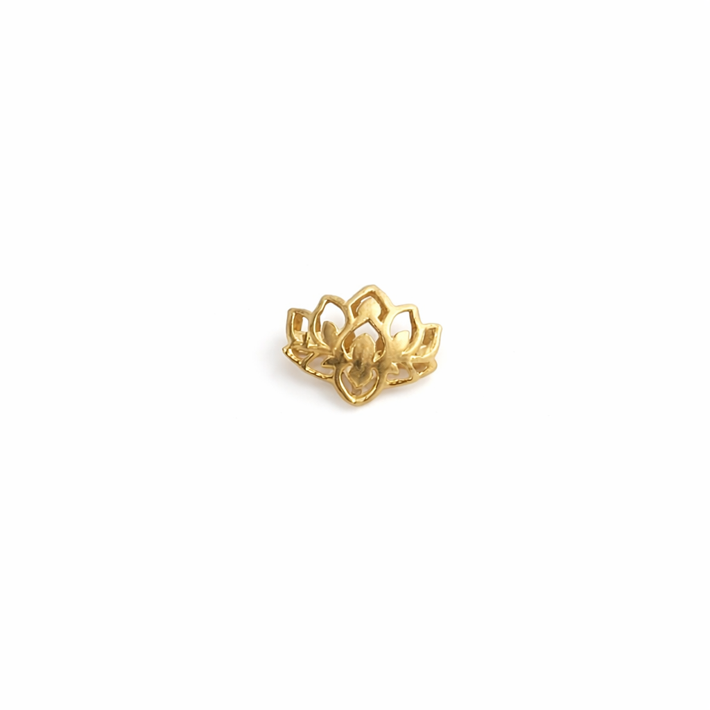 Jalaj 925 Silver Nose Pin for Women