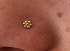 SmallNosepins 925 Silver Nose pin for Women
