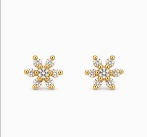 Indus  925 Silver Studs