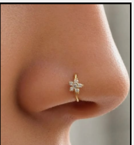 Nosering2 925 Sterling Silver Nose Ring for Women