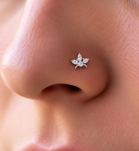 SmallNosepins 925 Silver Nose pin for Women