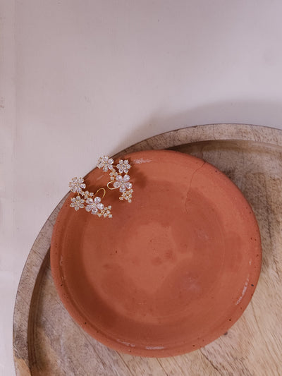Lisha Silver Earrings
