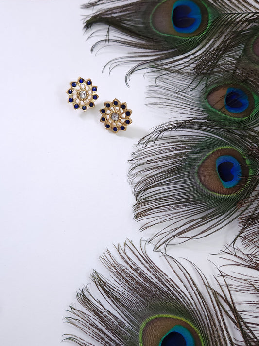 Alpa  Earrings