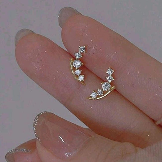 Meha Silver Earrings