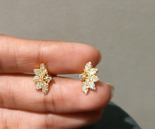 Hita Silver Earrings
