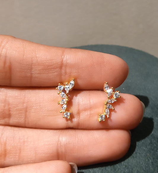 Ruhi Silver Earrings