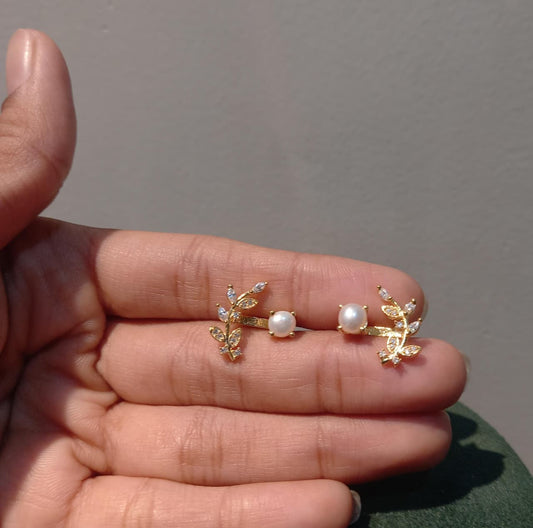 Arvi Silver Earrings