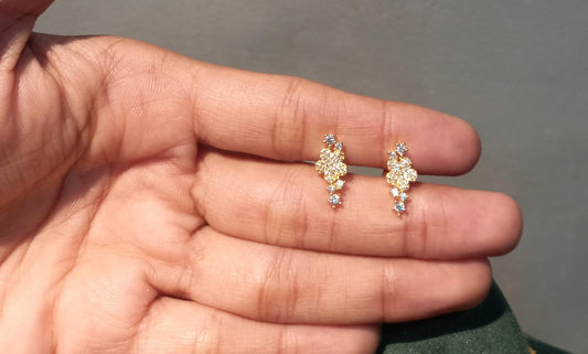 Viri Silver Earrings