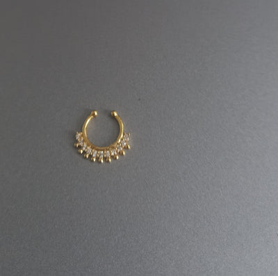 Septum Silver Nosepins 18