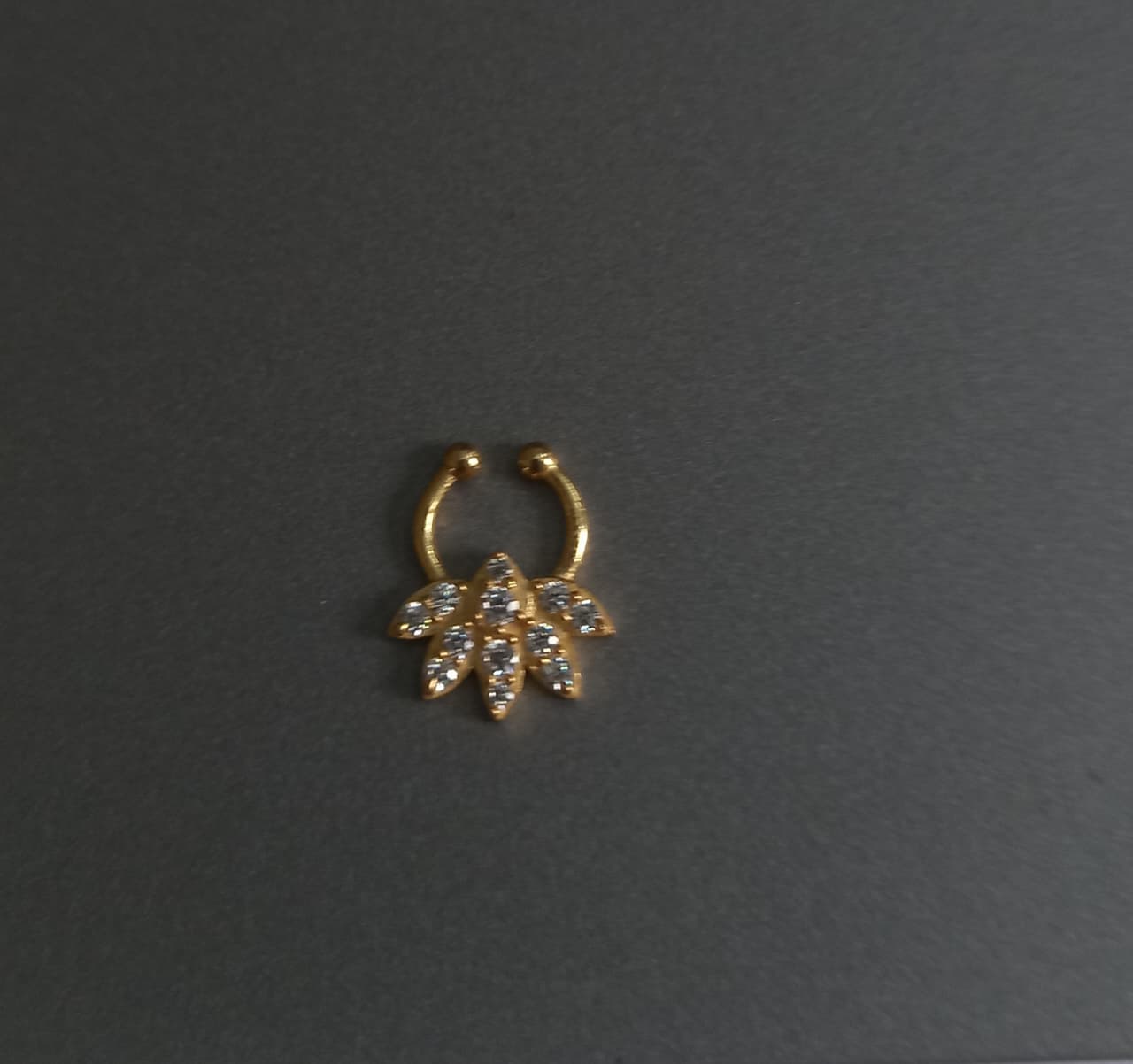 Septum Silver Nosepins 23