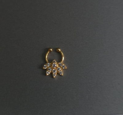 Septum Silver Nosepins 23