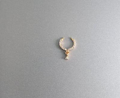 Septum Silver Nosepins 25