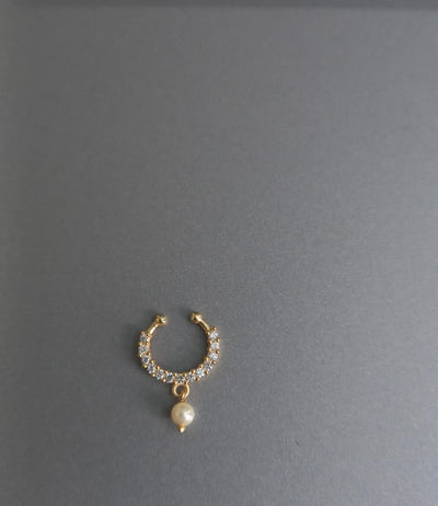 Septum Silver Nosepins 36