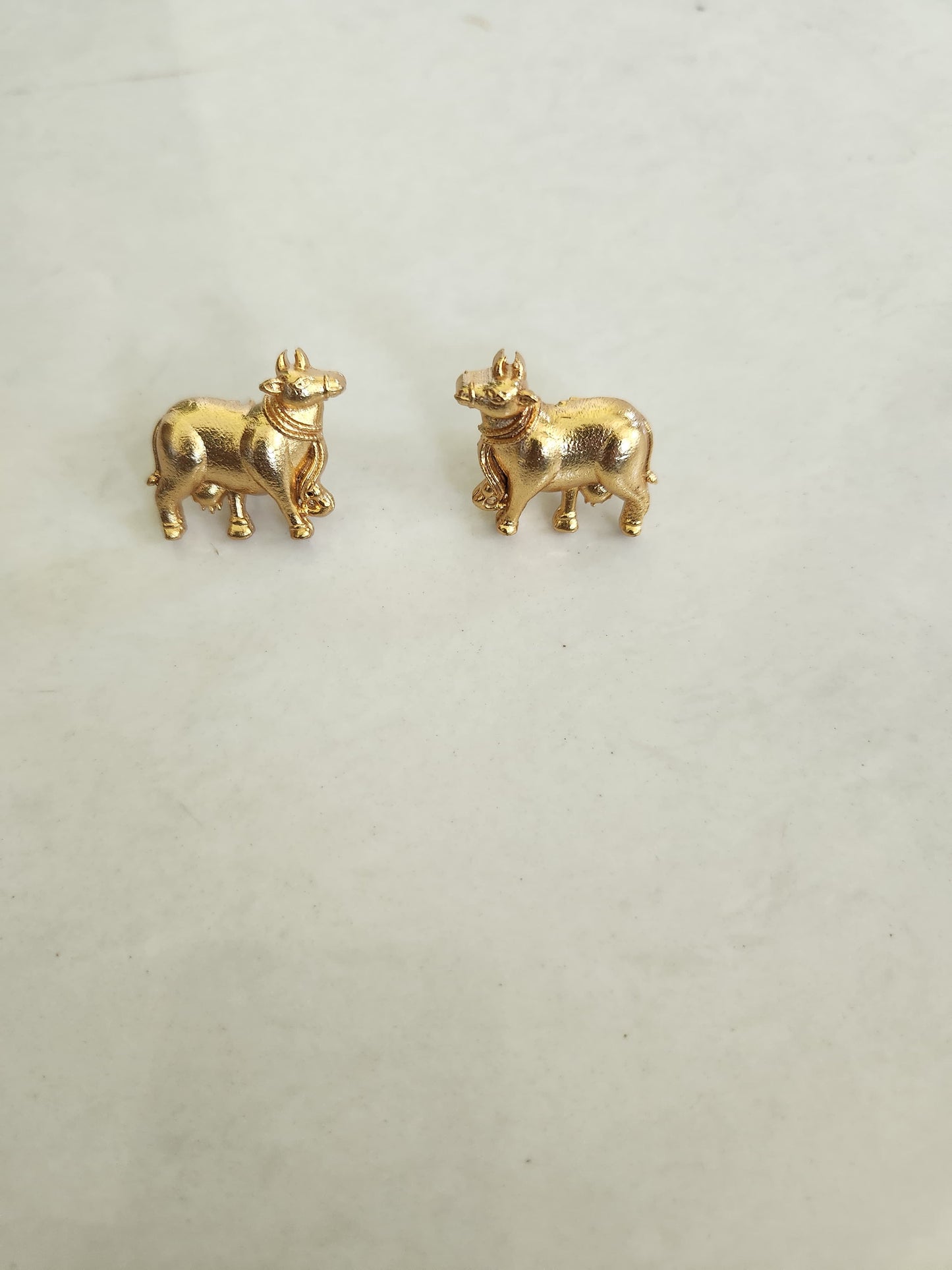 Cow Studs