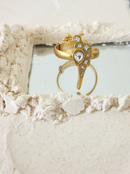 Aas Ring