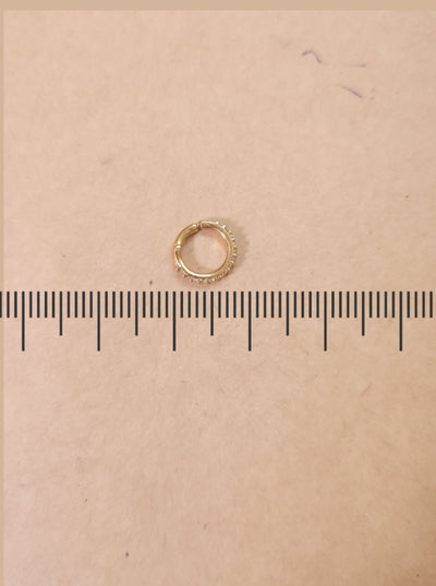 Silver Nosepins NoseRing