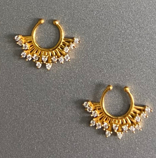 Septum Silver Nosepins 08