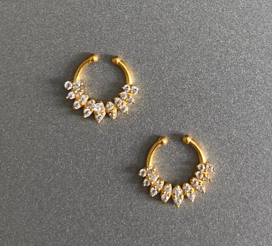 Septum Silver Nosepins 09