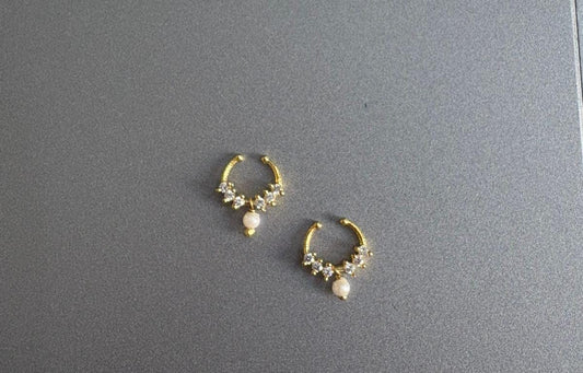 Septum Silver Nosepins 05