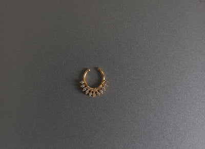 Septum Silver Nosepins 21