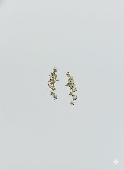 Shaa Silver Earrings