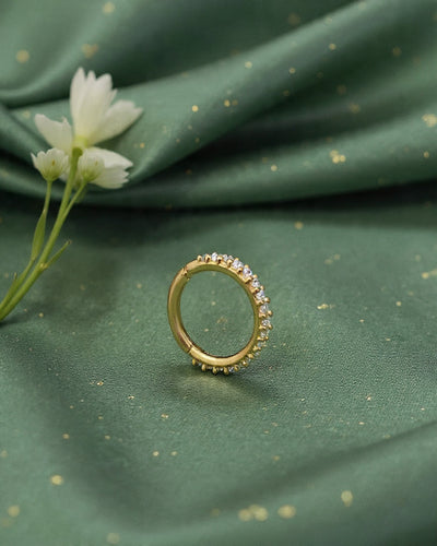 Silver Nosepins NoseRing