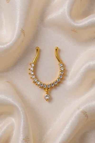 Septum Silver Nosepins 33