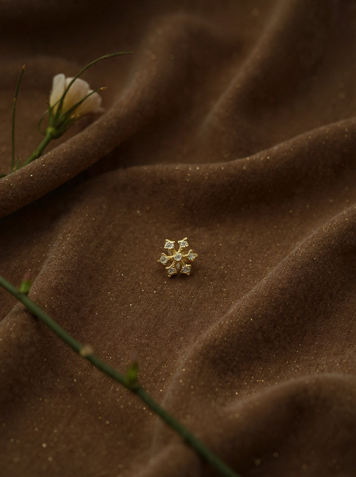 Ashwi Silver Nosepins