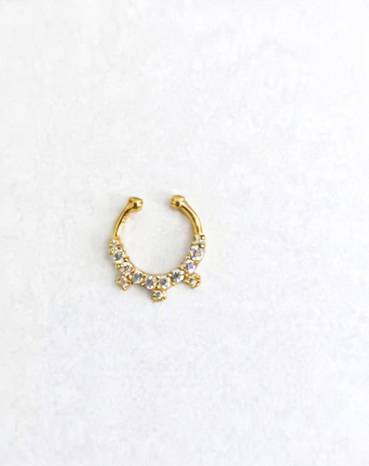 Silver 925 Septum Nose Pin 17