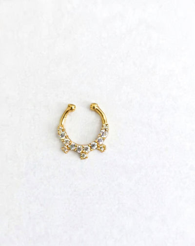 Septum Silver Nosepins 17