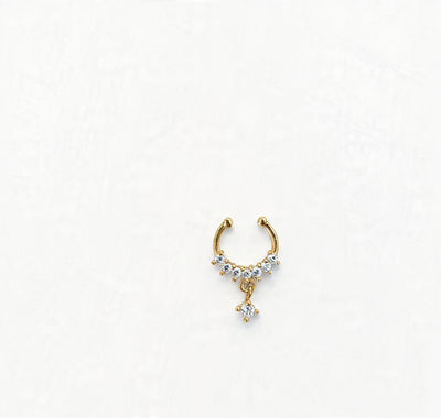 Septum Silver Nosepins 24
