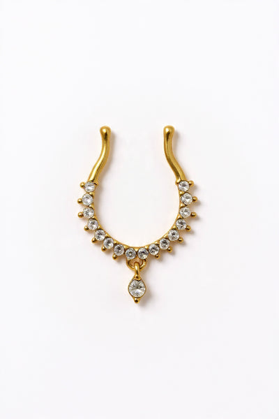 Septum Silver Nosepins 33